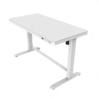 【福利品】樂歌Loctek 人體工學 電動升降桌