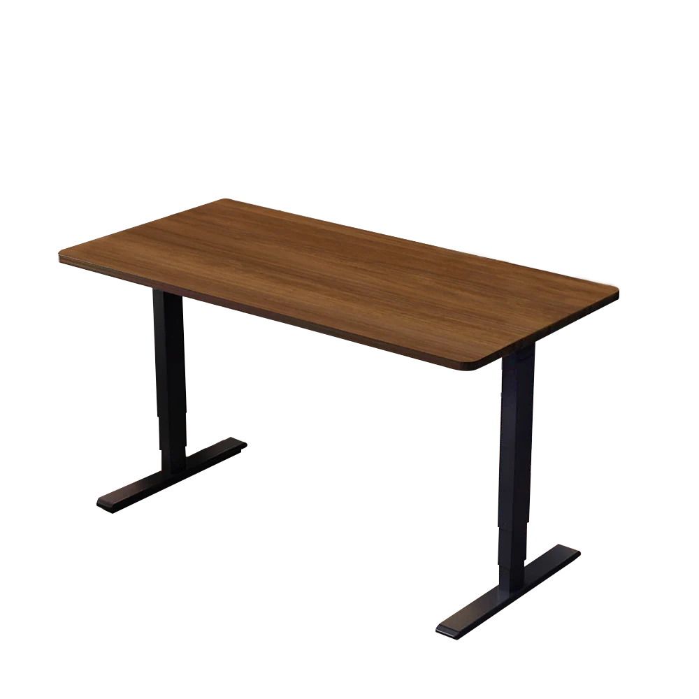 [拆封新品/福利品]樂歌Loctek 人體工學 智慧記憶電動升降桌 快裝安全版 F1