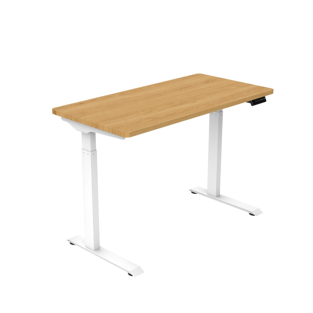 [拆封新品/福利品]樂歌Loctek 人體工學 電動升降桌 ET119 (含安裝)