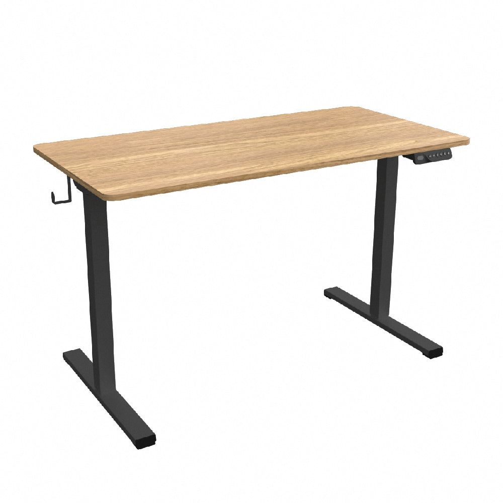 [拆封新品/福利品]樂歌Loctek 人體工學 智慧記憶電動升降桌 快裝安全版 F1